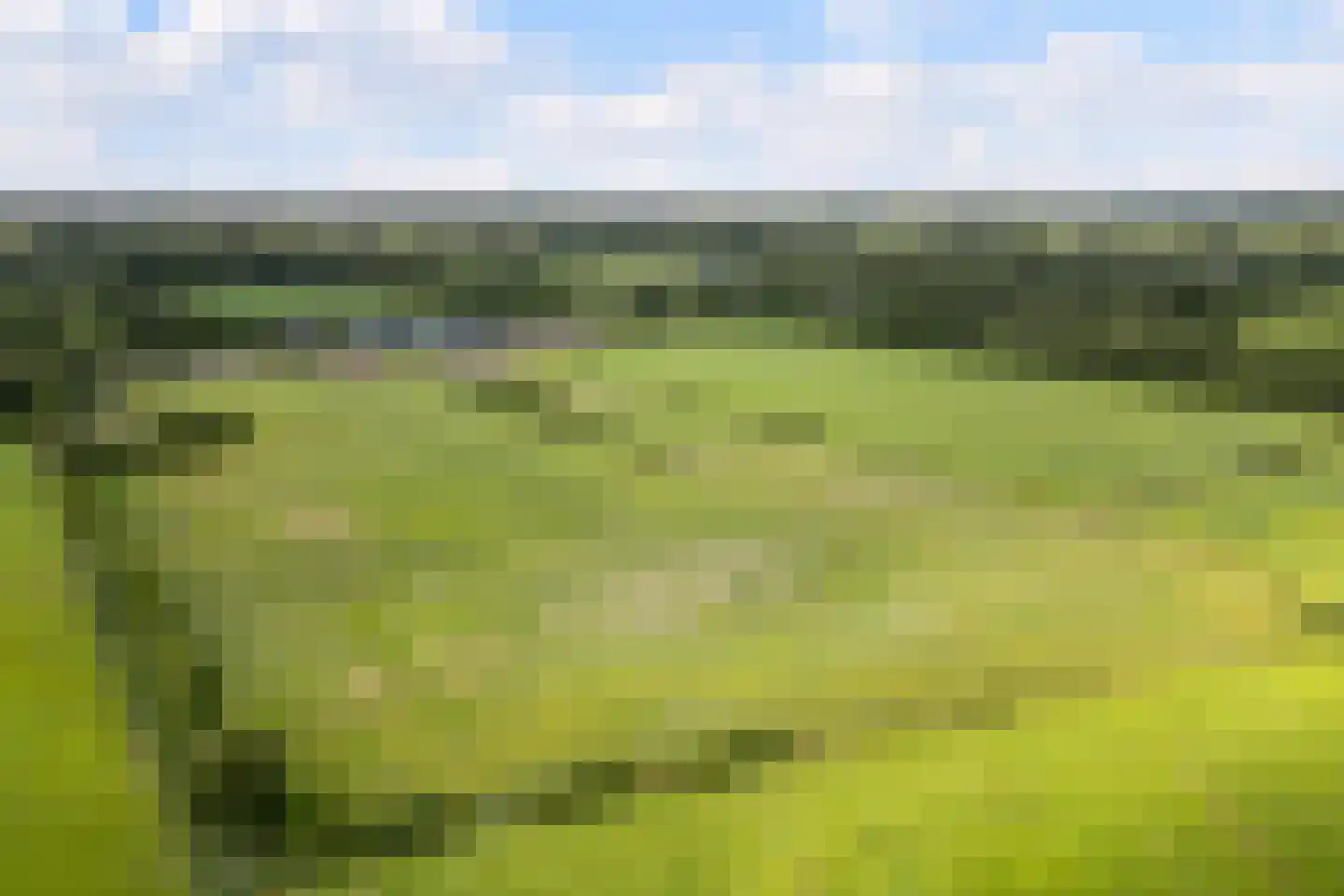 Leidijk 12 A Noordwijk thumbnail 6