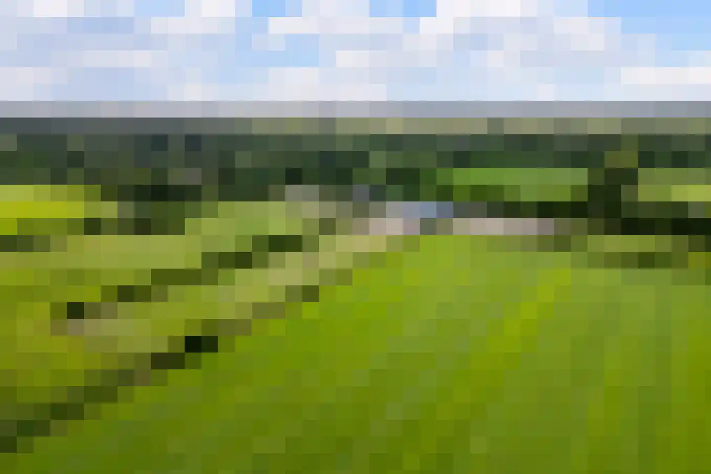 Leidijk 12 A Noordwijk thumbnail 76