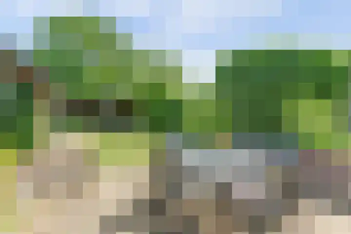Leidijk 121 Bemmel thumbnail 30
