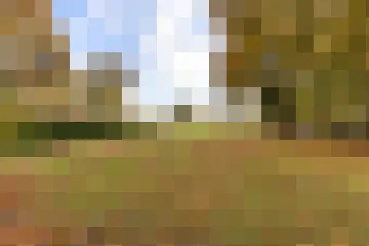 Leidijk 16 Noordwijk thumbnail 36