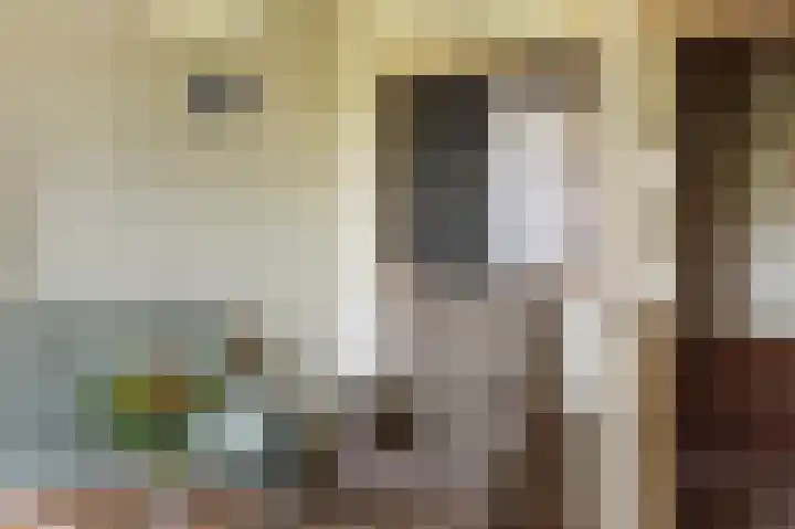 Leidijk 16 Noordwijk thumbnail 9