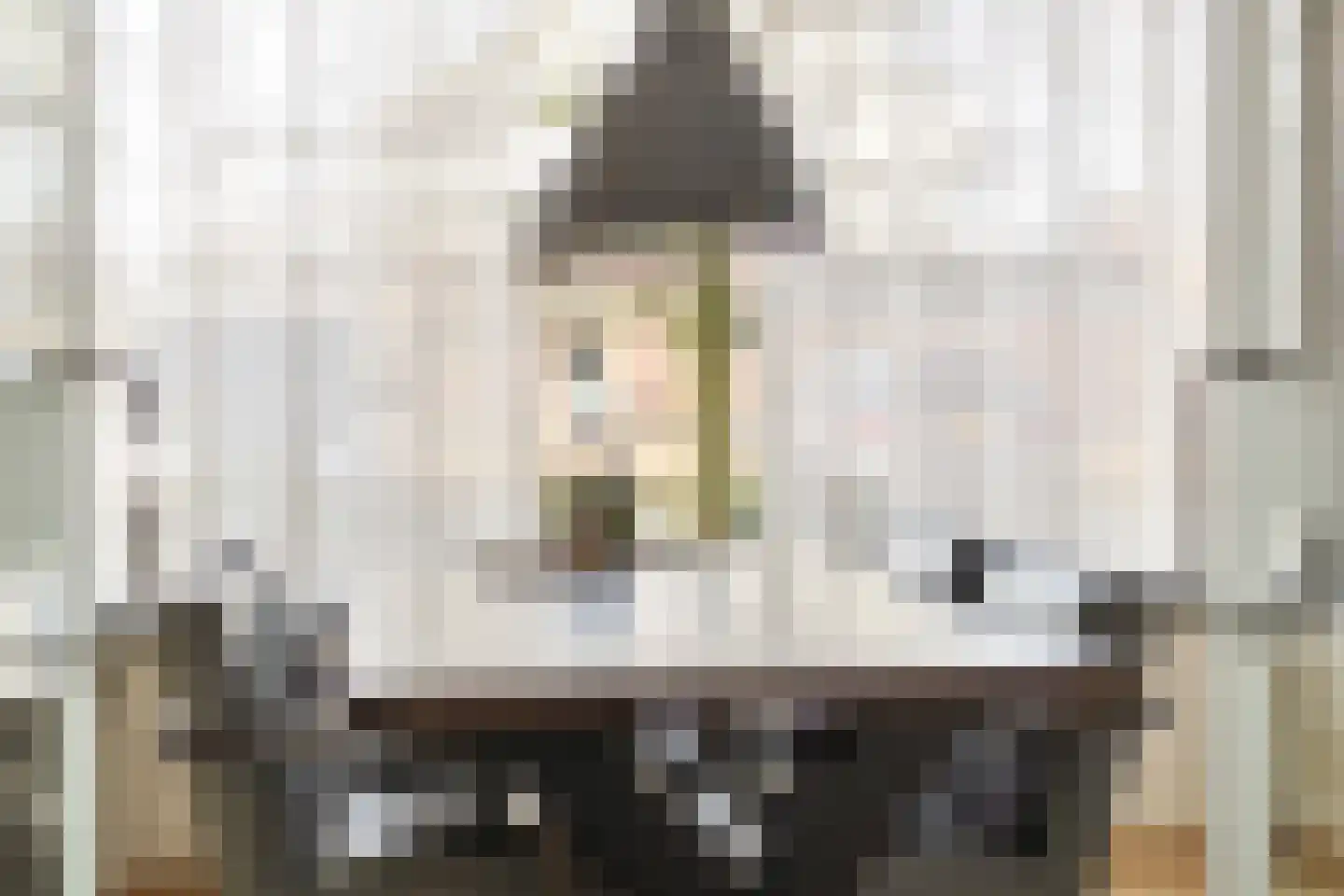 Leidijk 167 Bemmel thumbnail 15