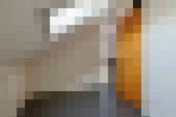 Leidijk 167 Bemmel thumbnail 42