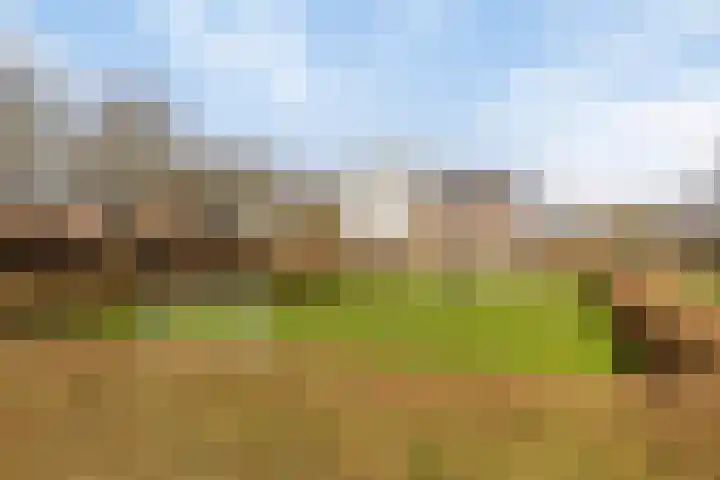 Leidijk 167 Bemmel thumbnail 50
