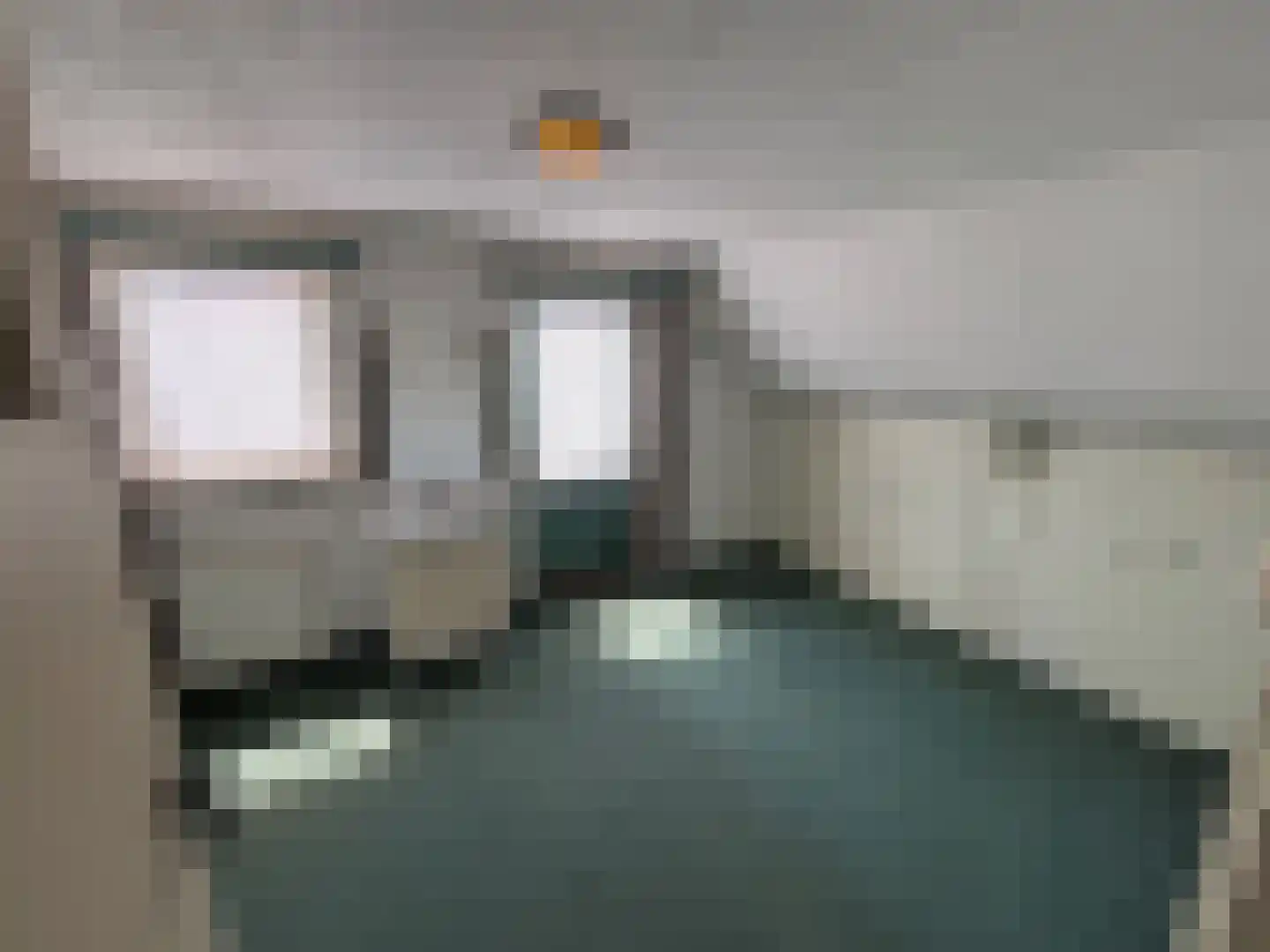 Leidijk 2 Westerhaar-Vriezenveensewijk thumbnail 18