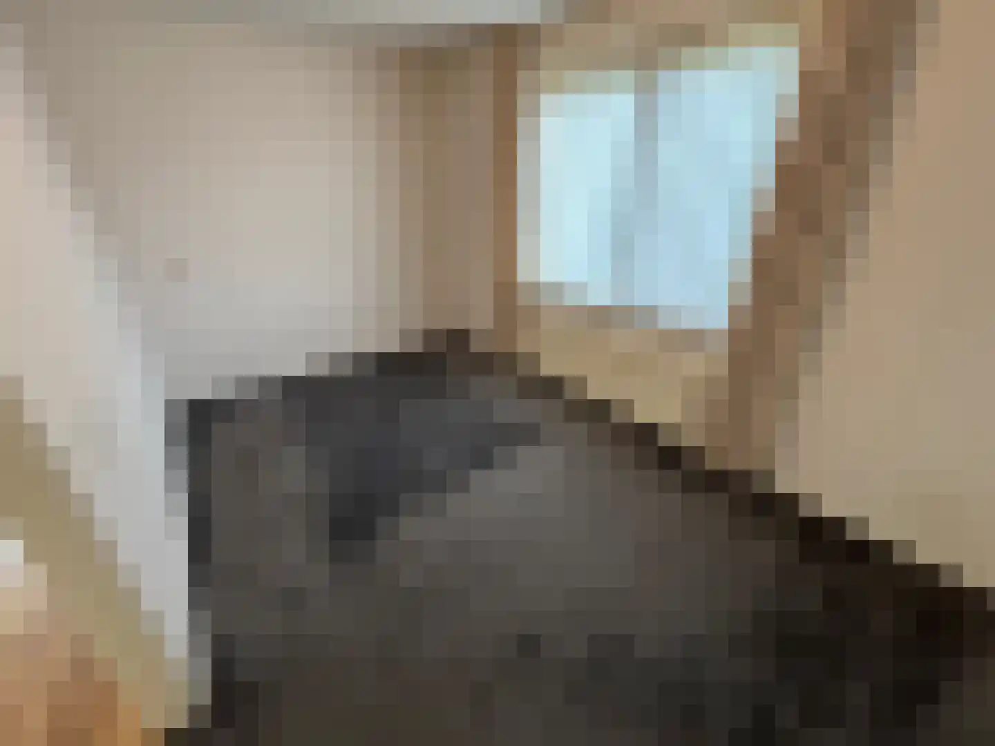 Leidijk 2 Westerhaar-Vriezenveensewijk thumbnail 21