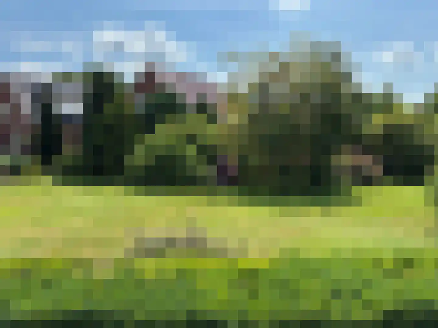Leidijk 2 Westerhaar-Vriezenveensewijk thumbnail 28