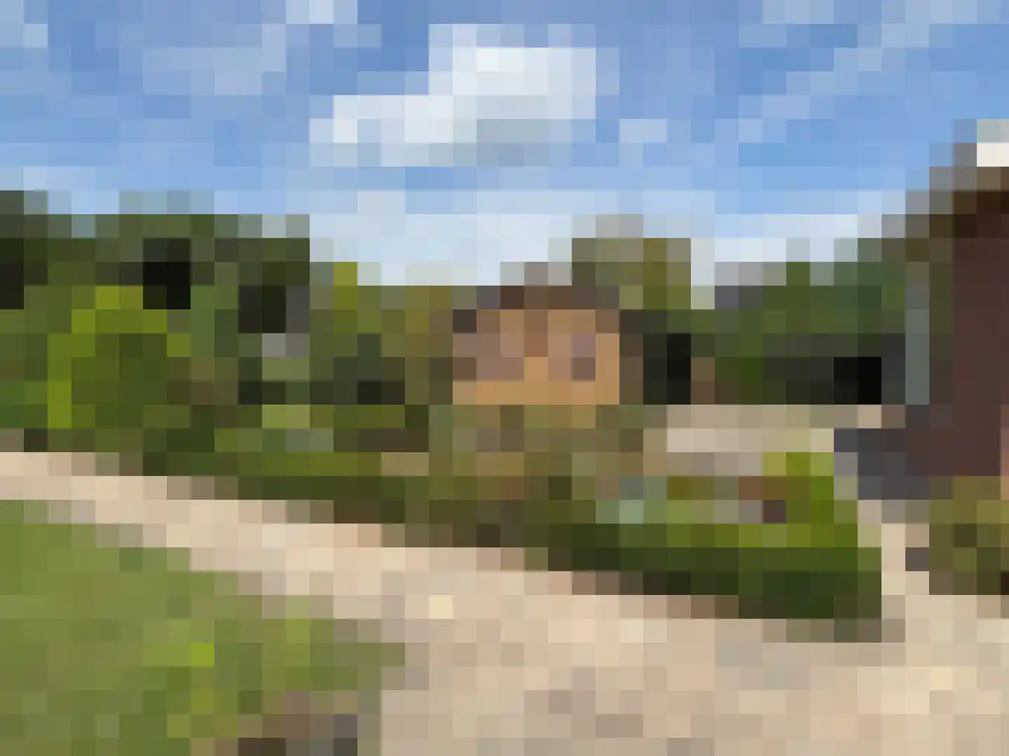 Leidijk 2 Westerhaar-Vriezenveensewijk thumbnail 29