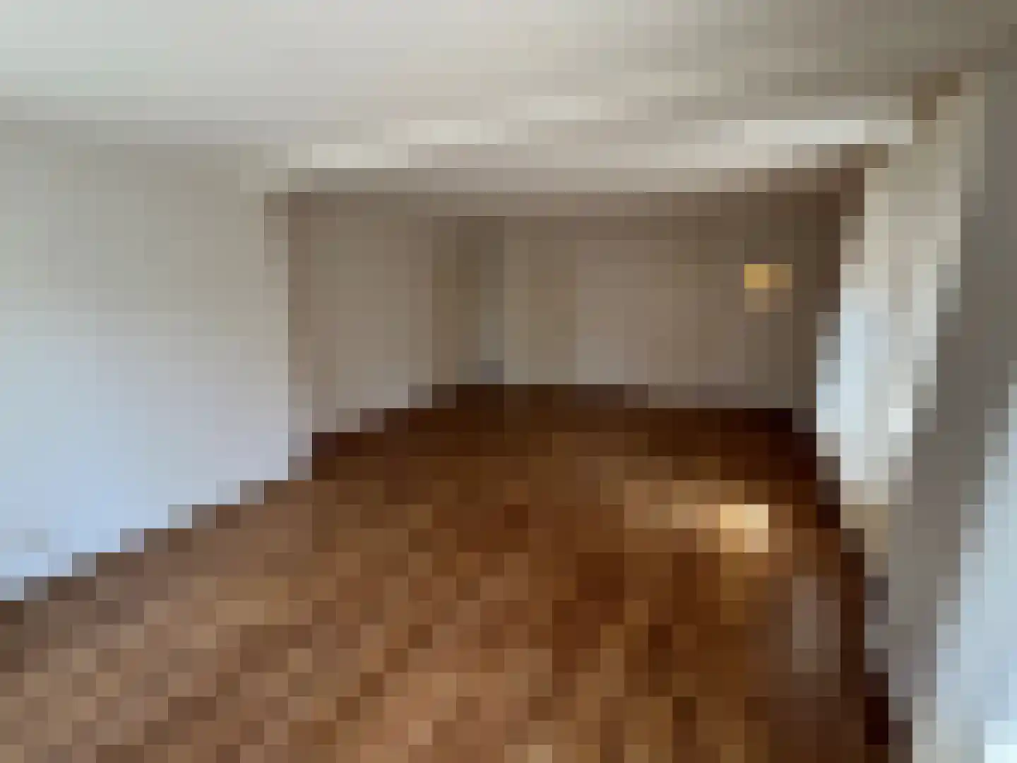 Leidijk 2 Westerhaar-Vriezenveensewijk thumbnail 5