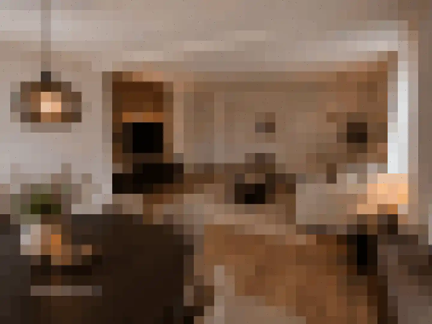 Leidijk 2 Westerhaar-Vriezenveensewijk thumbnail 6