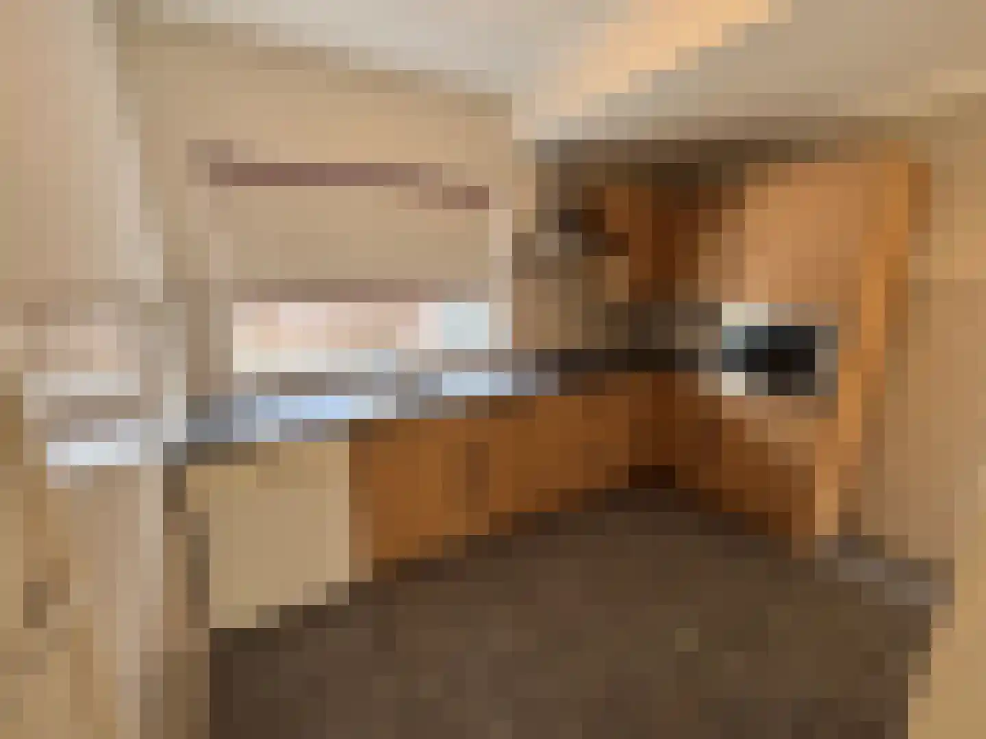 Leidijk 2 Westerhaar-Vriezenveensewijk thumbnail 7