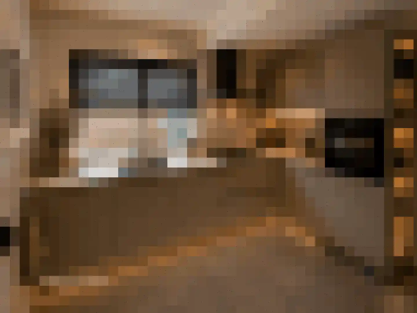 Leidijk 2 Westerhaar-Vriezenveensewijk thumbnail 8