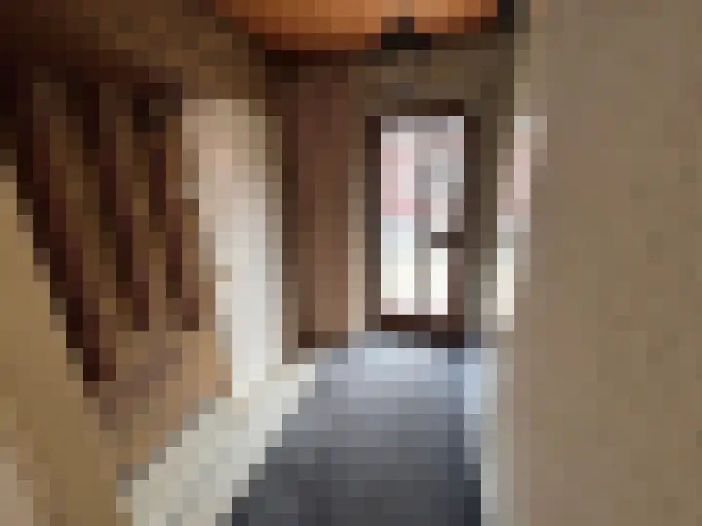 Leidijk 2 Westerhaar-Vriezenveensewijk thumbnail 9