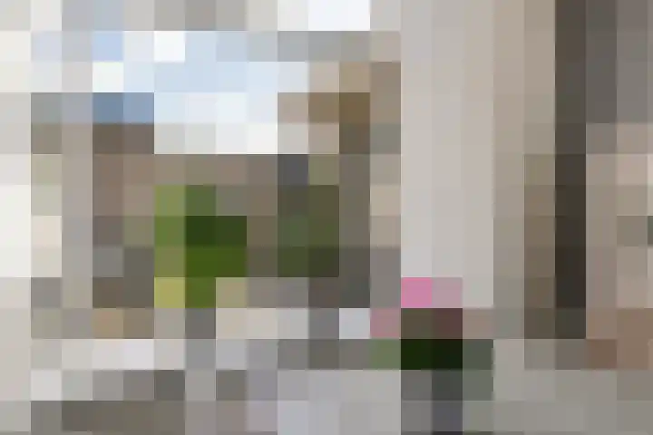 Leidijk 215 Drachten thumbnail 21