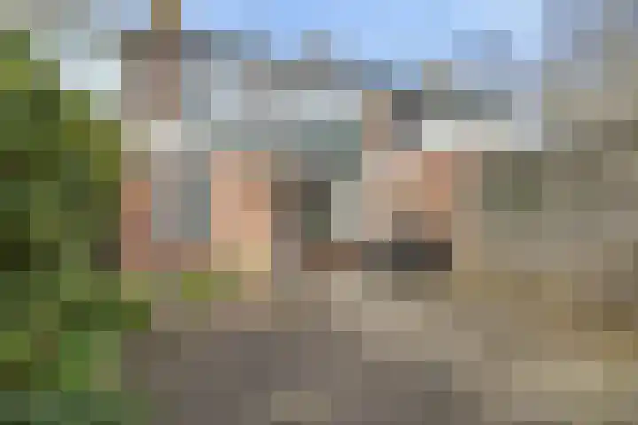 Leidijk 215 Drachten thumbnail 37