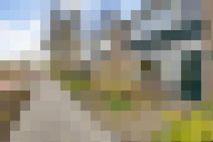 Leidijk 215 Drachten thumbnail 7