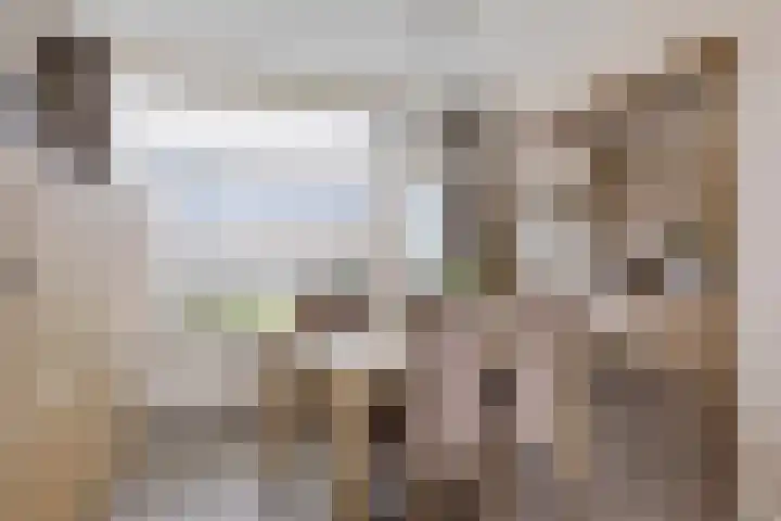 Leidijk 227 Drachten thumbnail 13