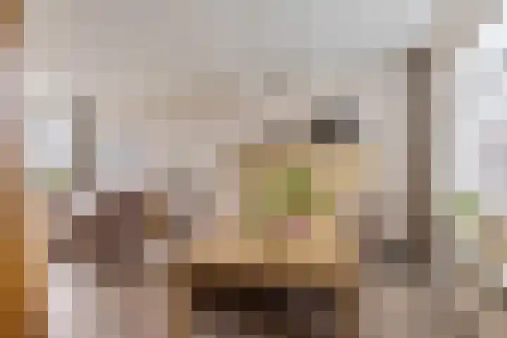 Leidijk 227 Drachten thumbnail 14
