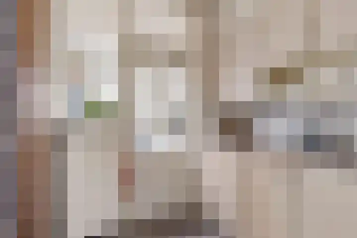 Leidijk 227 Drachten thumbnail 18