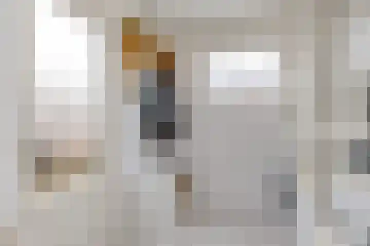 Leidijk 227 Drachten thumbnail 20