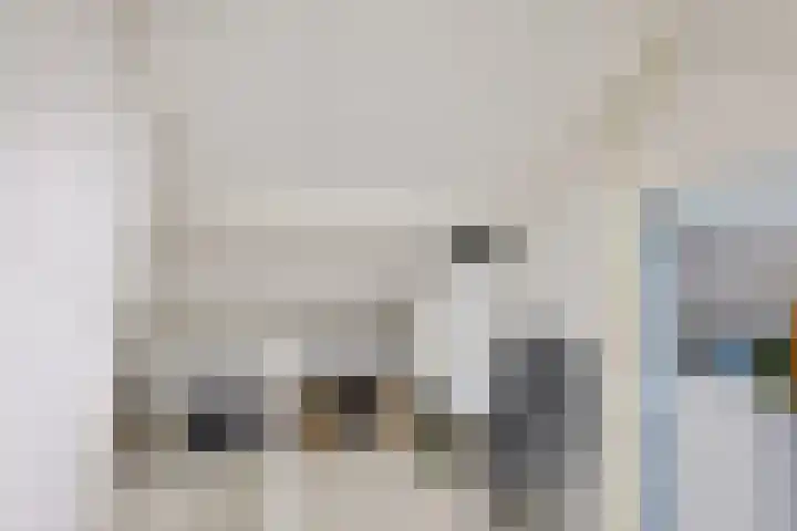 Leidijk 227 Drachten thumbnail 31
