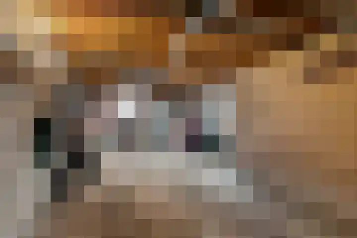 Leidijk 227 Drachten thumbnail 35