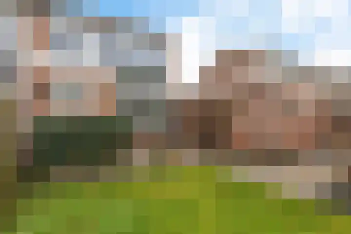 Leidijk 227 Drachten thumbnail 39