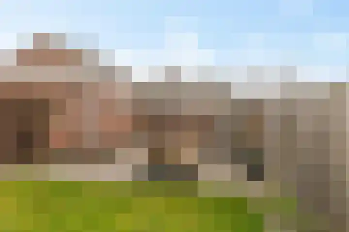 Leidijk 227 Drachten thumbnail 41