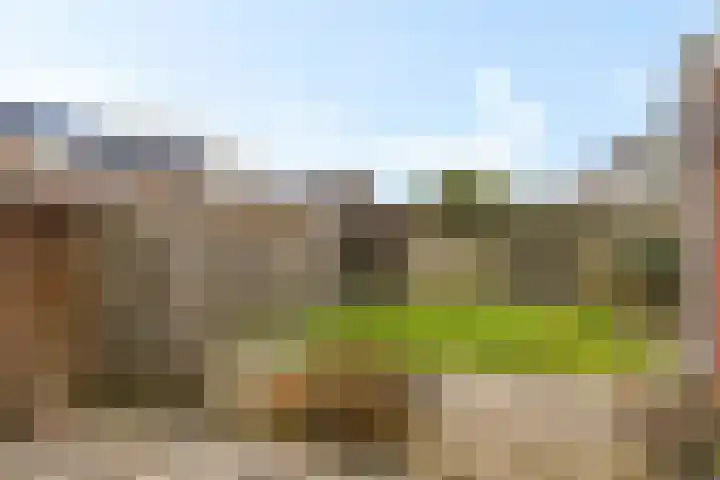 Leidijk 227 Drachten thumbnail 42