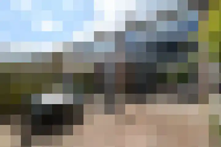 Leidijk 241 Drachten thumbnail 28