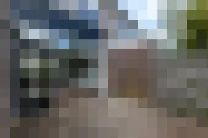 Leidijk 241 Drachten thumbnail 34