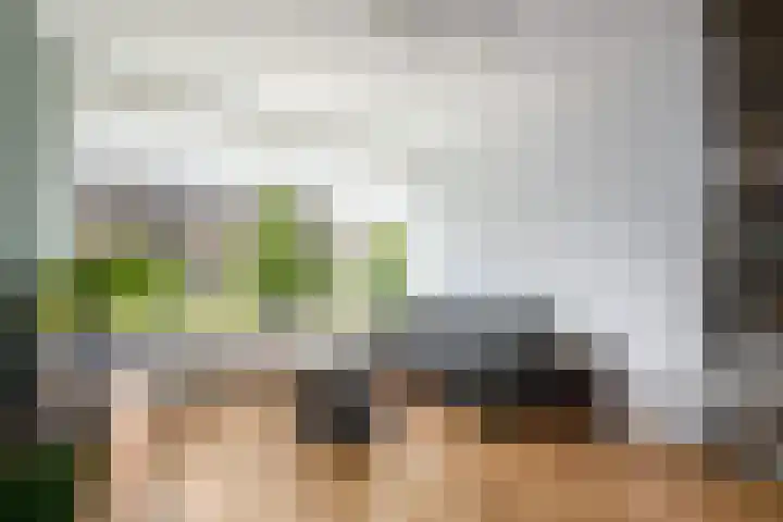 Leidijk 241 Drachten thumbnail 4
