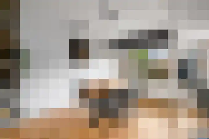 Leidijk 241 Drachten thumbnail 8