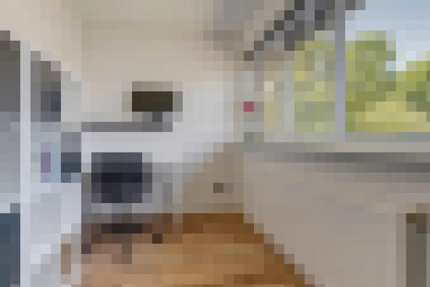 Leidijk 29 Bemmel thumbnail 13