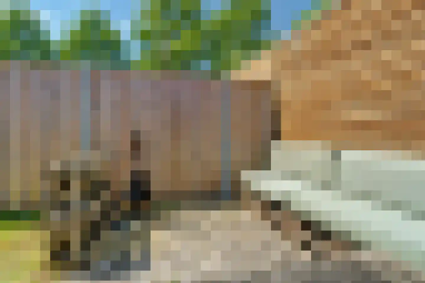 Leidijk 29 Bemmel thumbnail 28