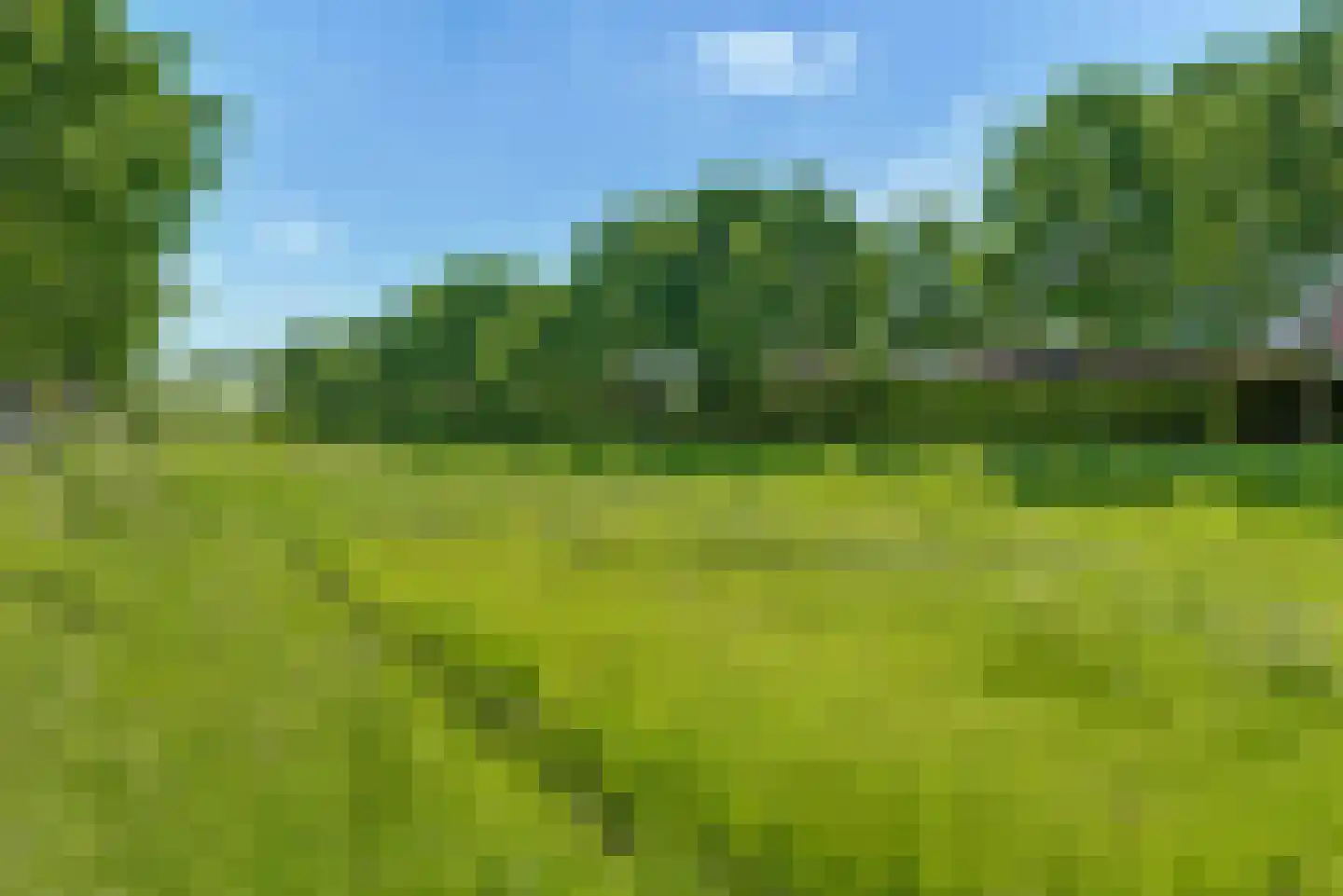 Leidijk 29 Bemmel thumbnail 32