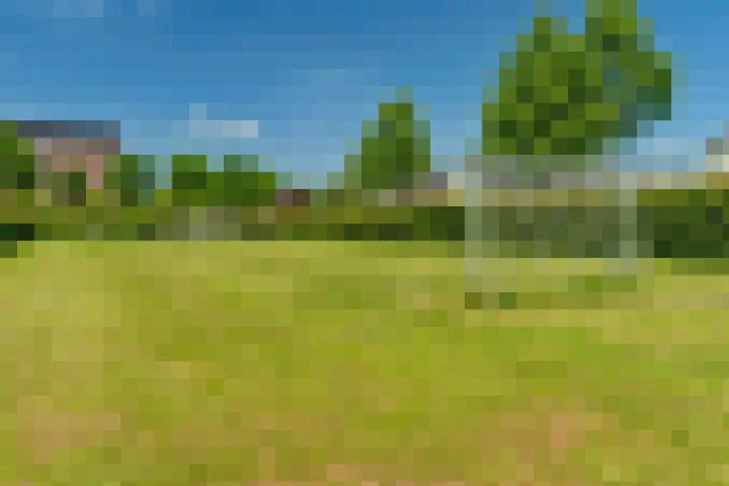 Leidijk 29 Bemmel thumbnail 33