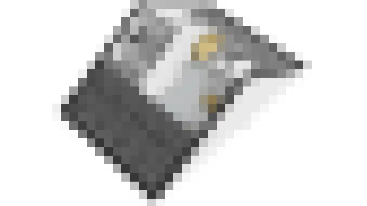 Leidijk 29 Bemmel thumbnail 41