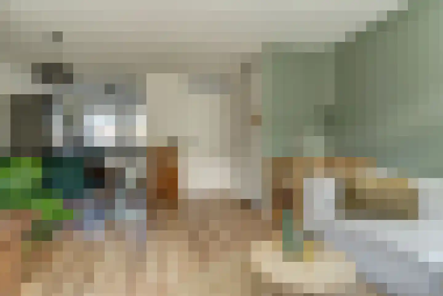 Leidijk 29 Bemmel thumbnail 5