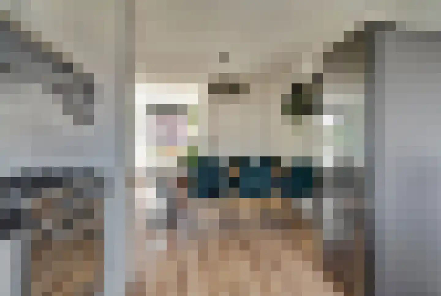 Leidijk 29 Bemmel thumbnail 8