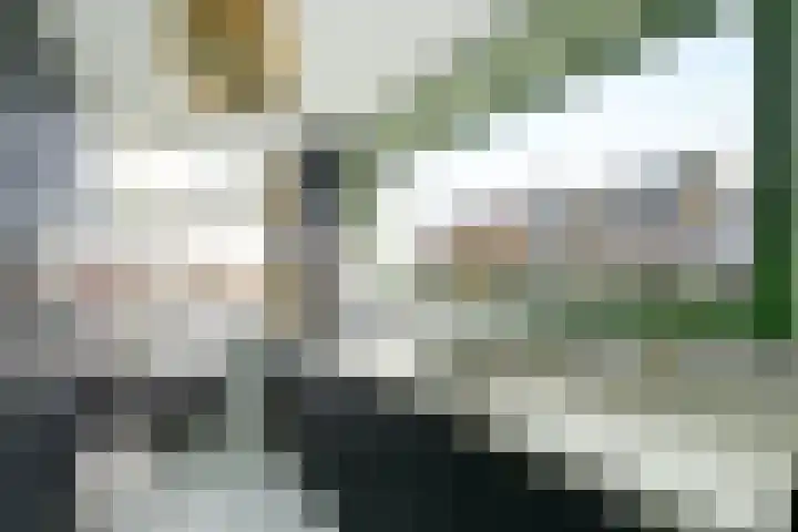 Leidijk 32 Drachten thumbnail 10