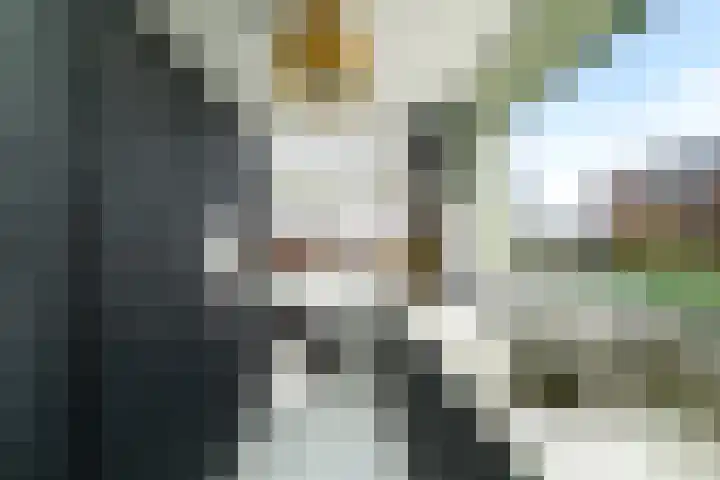 Leidijk 32 Drachten thumbnail 11