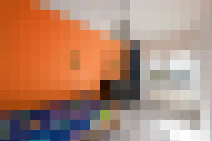 Leidijk 32 Drachten thumbnail 20
