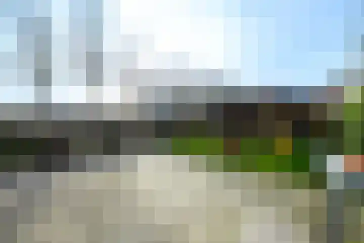 Leidijk 32 Drachten thumbnail 29