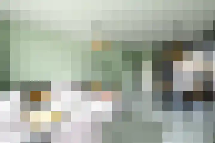 Leidijk 32 Drachten thumbnail 5