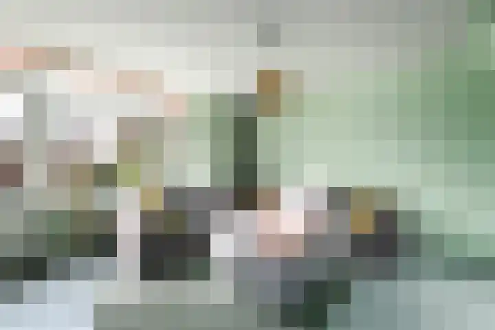 Leidijk 32 Drachten thumbnail 6
