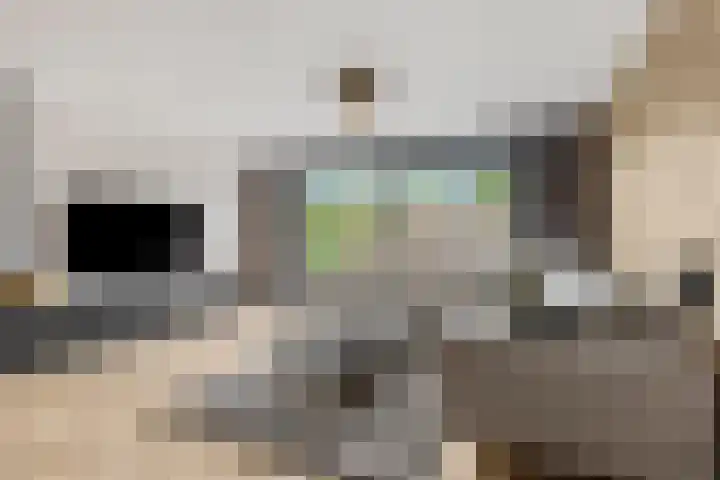 Leidijk 42 Bemmel thumbnail 11