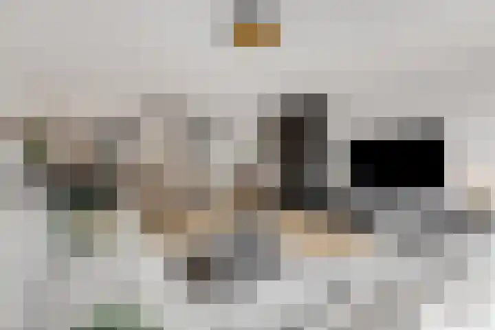 Leidijk 42 Bemmel thumbnail 13