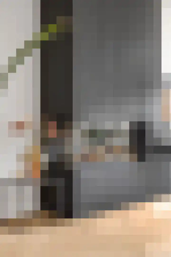 Leidijk 42 Bemmel thumbnail 15