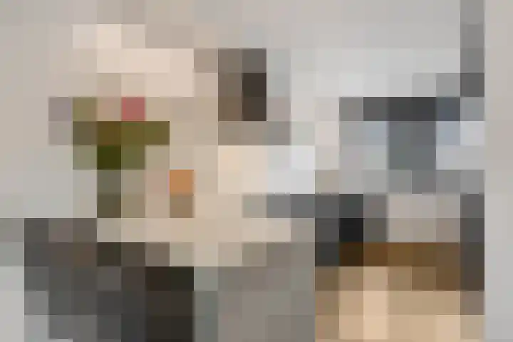 Leidijk 42 Bemmel thumbnail 17